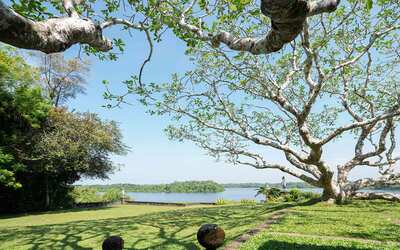 Exotic Garden Tour of Sri Lanka