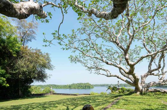 Exotic Garden Tour of Sri Lanka